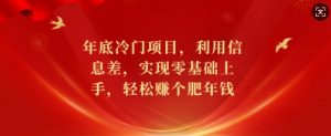 年底冷门项目，利用信息差，实现零基础上手，轻松赚个肥年钱【揭秘】-极速轻创