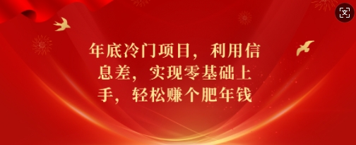 年底冷门项目，利用信息差，实现零基础上手，轻松赚个肥年钱【揭秘】-极速轻创