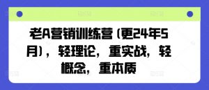 老A营销训练营(更24年12月)，轻理论，重实战，轻概念，重本质-极速轻创