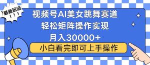 视频号蓝海赛道玩法，当天起号，拉爆流量收益，小白也能轻松月入30000+-极速轻创