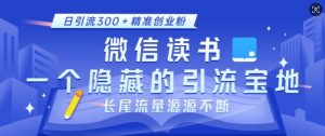 微信读书，一个隐藏的引流宝地，不为人知的小众打法，日引流300+精准创业粉，长尾流量源源不断-极速轻创