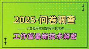 2025问卷调查最新工作室技术解密：一个人在家也可以闷声发大财，小白一天2张，可矩阵放大【揭秘】-极速轻创