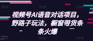 视频号AI语音对话项目，野路子玩法，橱窗带货条条火爆-极速轻创