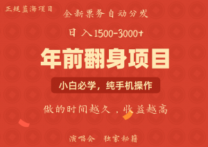 日入1000+ 娱乐项目 全国市场均有很大利润 长久稳定 新手当日变现-极速轻创