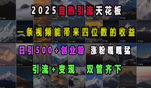 2025自热引流天花板，一条视频能带来四位数的收益，引流+变现双管齐下，日引500+创业粉，涨粉嘎嘎猛-极速轻创
