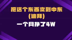 跨境电商一个人在家把货卖到迪拜，暴力项目拆解-极速轻创