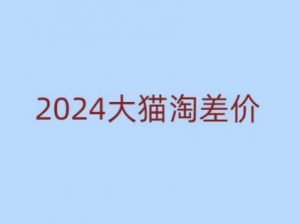 2024版大猫淘差价课程，新手也能学的无货源电商课程-极速轻创