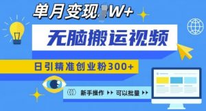 无脑搬运视频号可批量复制，新手即可操作，日引精准创业粉300+，月变现过W 【揭秘】-极速轻创
