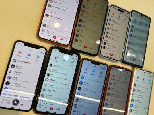 首发揭秘小红书私域日引500+创业粉四大模板，月入过W+全程干货!没有废话!保姆教程!-极速轻创