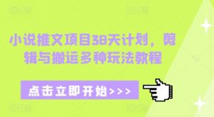小说推文项目38天计划，剪辑与搬运多种玩法教程-极速轻创