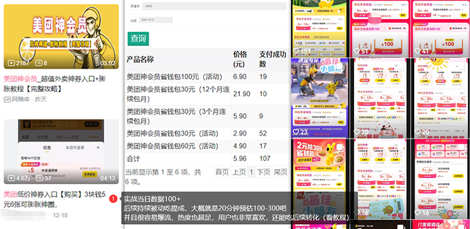 美团神券/神会员_入门级教程，外卖券膨胀推广项目【蓝海市场攻略】-极速轻创