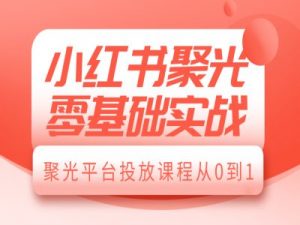 小红书聚光零基础实战，聚光平台投放课程从0到1-极速轻创
