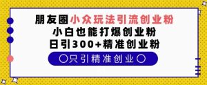 朋友圈小众玩法引流创业粉，小白也能打爆创业粉，日引300+精准创业粉【揭秘】-极速轻创