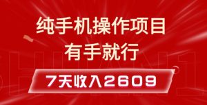 纯手机操作的小项目，有手就能做，7天收入2609+实操教程【揭秘】-极速轻创