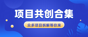 项目共创合集，从0-1全过程拆解，让你迅速找到适合自已的项目-极速轻创
