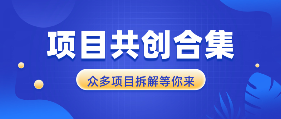项目共创合集，从0-1全过程拆解，让你迅速找到适合自已的项目-极速轻创