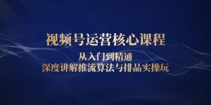视频号运营核心课程，从入门到精通，深度讲解推流算法与排品实操玩-极速轻创