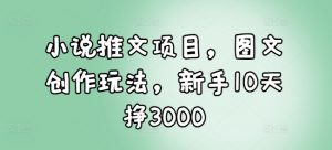 小说推文项目，图文创作玩法，新手10天挣3000-极速轻创