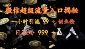 微信超级流量入口揭秘：一小时引流 99 + 创业粉，日涨粉 999 +-极速轻创