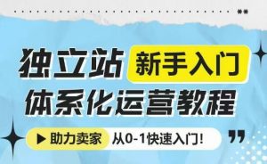 独立站新手入门体系化运营教程，助力独立站卖家从0-1快速入门!-极速轻创