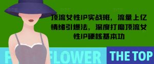 顶流女性IP实战班，流量上亿情绪引爆法，深度打磨顶流女性IP硬核基本功-极速轻创