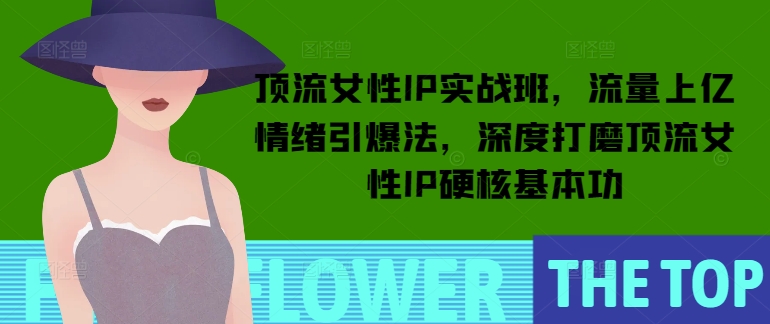 顶流女性IP实战班，流量上亿情绪引爆法，深度打磨顶流女性IP硬核基本功-极速轻创