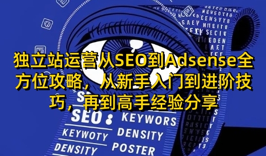 独立站运营从SEO到Adsense全方位攻略，从新手入门到进阶技巧，再到高手经验分享-极速轻创