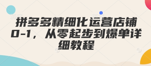 拼多多精细化运营店铺0-1，从零起步到爆单详细教程-极速轻创