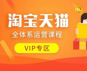 淘宝天猫全体系运营课程：店铺全系运营、动销玩法、付费推广、流量提升、擦边球玩法等等-极速轻创