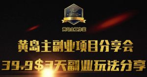 黄岛主副业分享会1期：3天3个副业玩法，速度上车-极速轻创