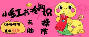 小红书冷知识账号，无脑复制粘贴，5分钟即可变现3张-极速轻创