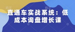 直通车实战系统：低成本询盘增长课，让个人通过技能实现升职加薪，让企业低成本获客，订单源源不断-极速轻创