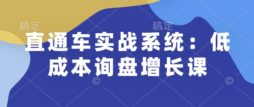 直通车实战系统：低成本询盘增长课，让个人通过技能实现升职加薪，让企业低成本获客，订单源源不断-极速轻创