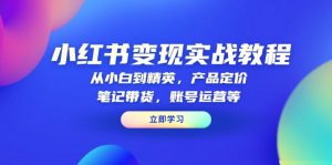 小红书变现实战教程：从小白到精英，产品定价，笔记带货，账号运营等-极速轻创