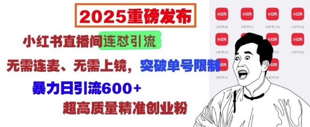 2025重磅发布：小红书直播间连怼引流，无需连麦、无需上镜，突破单号限制，暴力日引流600+-极速轻创