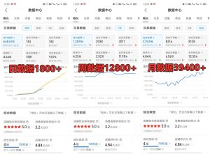 拼多多虚拟店铺项目，电脑挂机自动发货，单店日利润300+-极速轻创