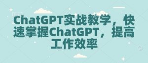 ChatGPT实战教学，快速掌握ChatGPT，提高工作效率-极速轻创