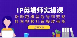 IP剪辑师实操课：涨粉跑模型起号到变现，挂车视频打造爆款带货-极速轻创