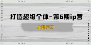 打造 超级个体-第6期ip营:商业认知,产品设计,成交演练,解决知识变现难题-极速轻创