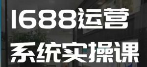 1688高阶运营系统实操课，快速掌握1688店铺运营的核心玩法-极速轻创