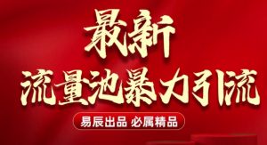 最新“流量池”无门槛暴力引流(全网首发)日引500+-极速轻创