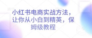 小红书电商实战方法，让你从小白到精英，保姆级教程-极速轻创