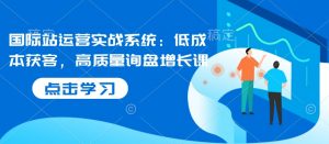 国际站运营实战系统：低成本获客，高质量询盘增长课-极速轻创