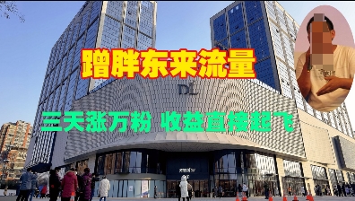 蹭胖东来流量，三天涨万粉，收益直接起飞-极速轻创