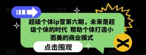 超级个体ip营第六期,未来是超级个体的时代 帮助个体打造小而美的商业模式-极速轻创