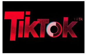 TikTok ads投流秘籍，涵盖tiktok整体投放思路，教你搭建测试计划-极速轻创