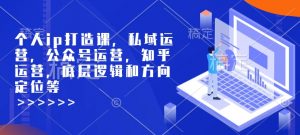 个人ip打造课，私域运营，公众号运营，知乎运营，底层逻辑和方向定位等-极速轻创