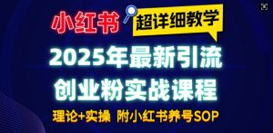 2025年最新小红书引流创业粉实战课程【超详细教学】小白轻松上手，月入1W+，附小红书养号SOP-极速轻创