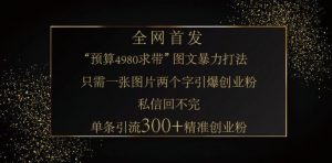 小红书神奇图片引流法，只需一张图，就能单条笔记凭借此方法，轻松引流 300 + 精准创业粉-极速轻创
