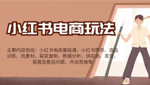 小红书电商玩法：带货/选品/找素材/裂变/数据分析/供应商/发货/售后/开店思维等-极速轻创